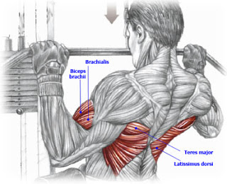 4abb9-latpulldown