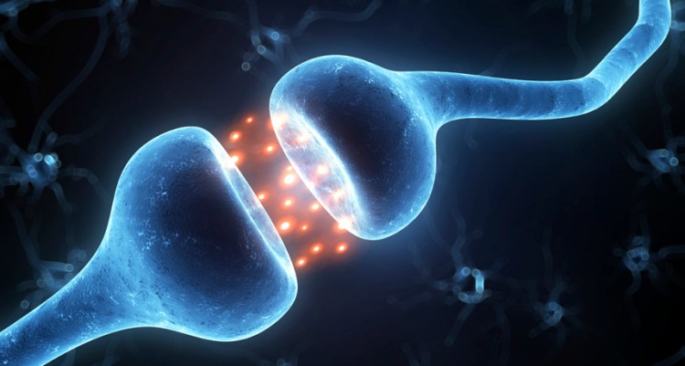 nervecell_blue_free.jpg