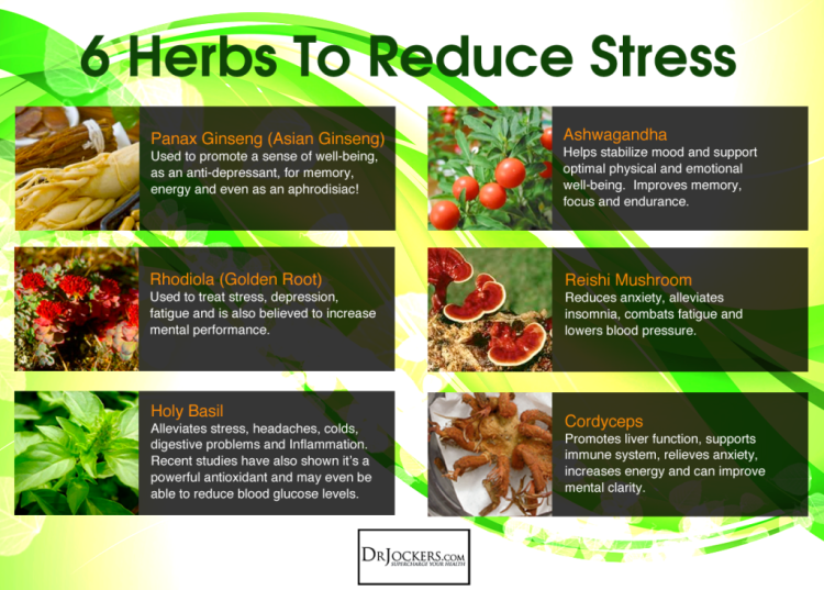 Thrive_6Herbs-1024x734-1024x734.png