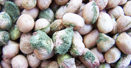 nuts.jpg